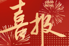 喜报‼️我校党建斩获多项市级荣誉
